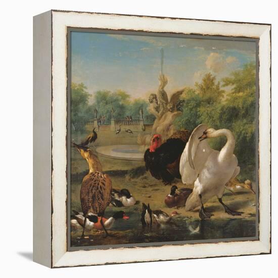 A Park with Swan and Other Birds (Oil on Canvas)-Melchior de Hondecoeter-Framed Premier Image Canvas