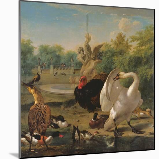 A Park with Swan and Other Birds (Oil on Canvas)-Melchior de Hondecoeter-Mounted Giclee Print