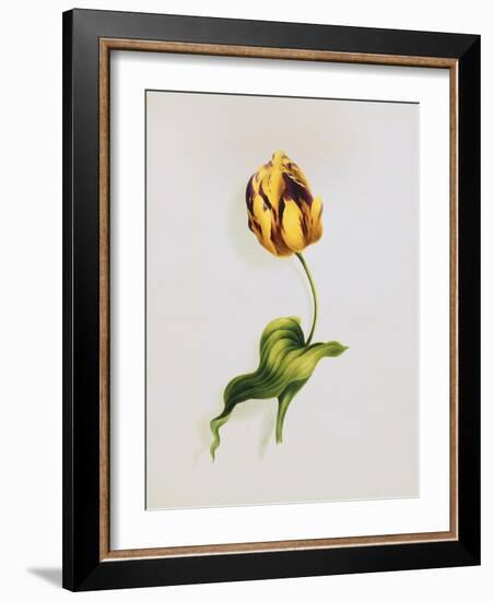 A Parrot Tulip-James Holland-Framed Giclee Print