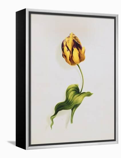 A Parrot Tulip-James Holland-Framed Premier Image Canvas