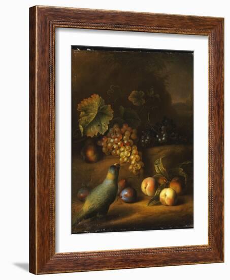 A Parrot with Grapes, Peaches and Plums in a Landscape-Tobias Stranover-Framed Giclee Print