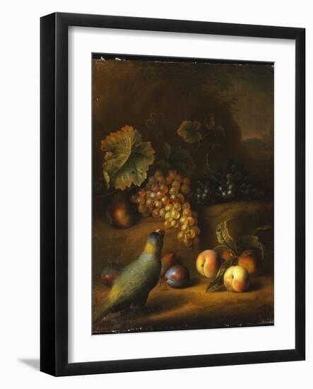 A Parrot with Grapes, Peaches and Plums in a Landscape-Tobias Stranover-Framed Giclee Print