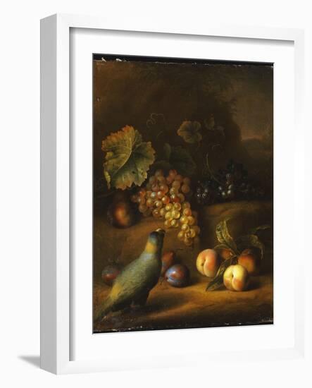 A Parrot with Grapes, Peaches and Plums in a Landscape-Tobias Stranover-Framed Giclee Print