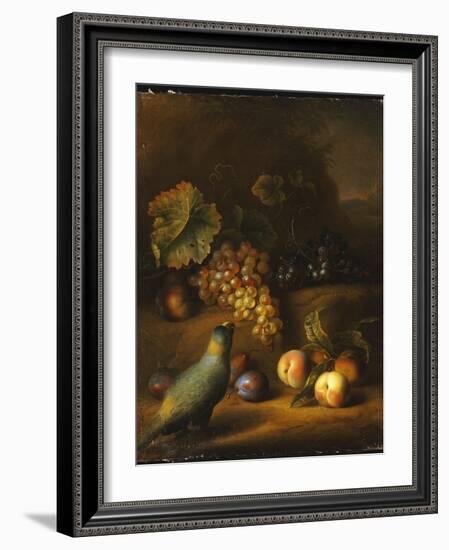 A Parrot with Grapes, Peaches and Plums in a Landscape-Tobias Stranover-Framed Giclee Print