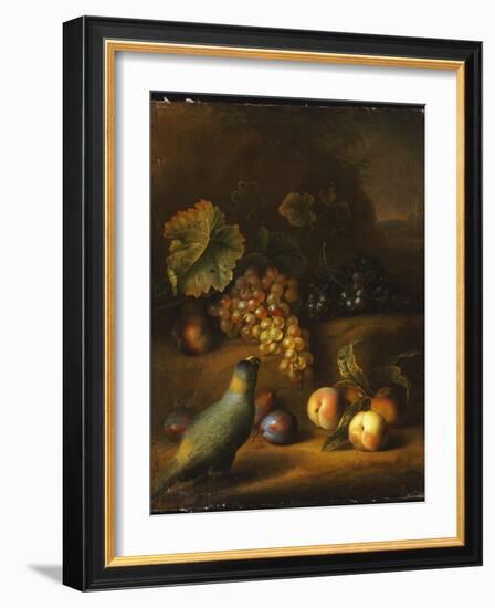 A Parrot with Grapes, Peaches and Plums in a Landscape-Tobias Stranover-Framed Giclee Print