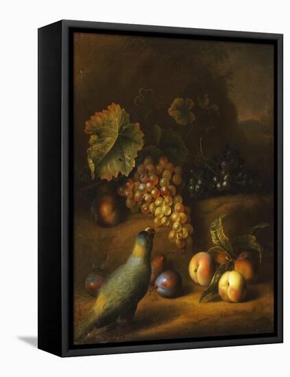 A Parrot with Grapes, Peaches and Plums in a Landscape-Tobias Stranover-Framed Premier Image Canvas