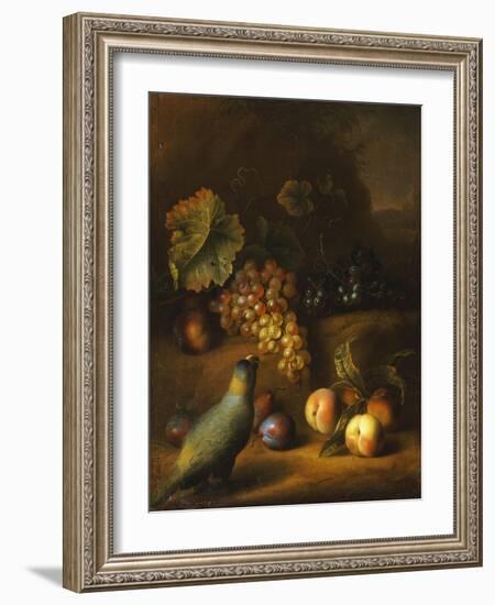 A Parrot with Grapes, Peaches and Plums in a Landscape-Tobias Stranover-Framed Giclee Print