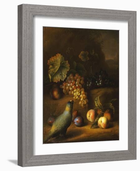 A Parrot with Grapes, Peaches and Plums in a Landscape-Tobias Stranover-Framed Giclee Print