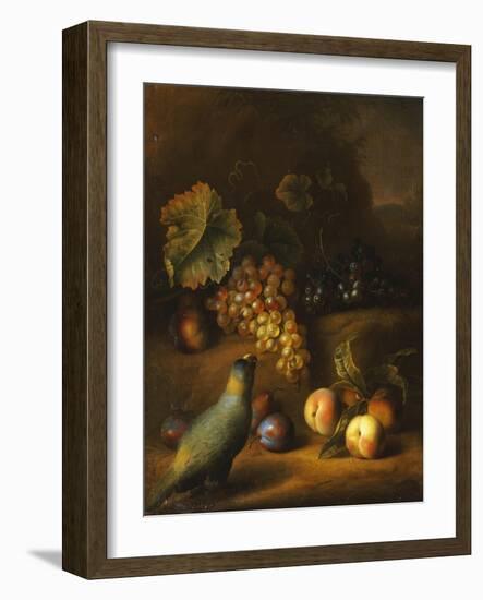 A Parrot with Grapes, Peaches and Plums in a Landscape-Tobias Stranover-Framed Giclee Print