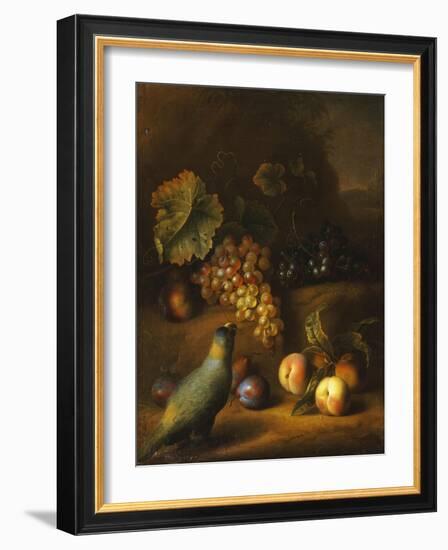 A Parrot with Grapes, Peaches and Plums in a Landscape-Tobias Stranover-Framed Giclee Print