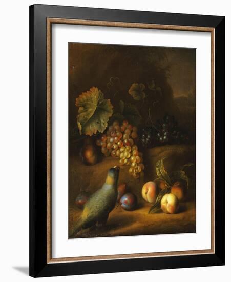 A Parrot with Grapes, Peaches and Plums in a Landscape-Tobias Stranover-Framed Giclee Print