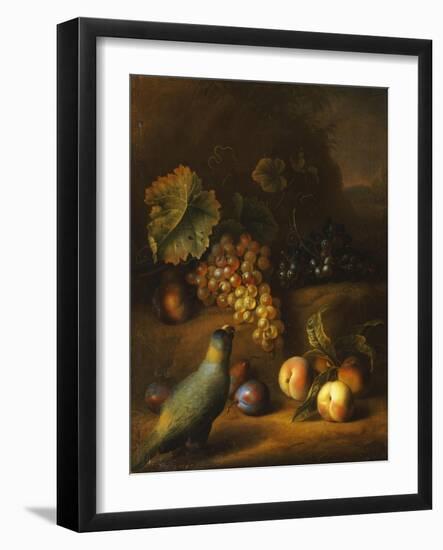 A Parrot with Grapes, Peaches and Plums in a Landscape-Tobias Stranover-Framed Giclee Print