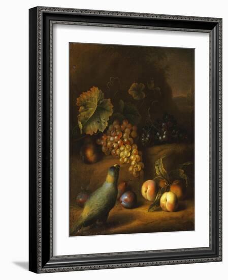 A Parrot with Grapes, Peaches and Plums in a Landscape-Tobias Stranover-Framed Giclee Print