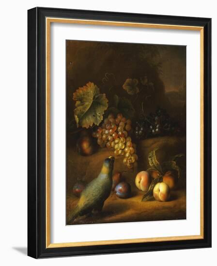 A Parrot with Grapes, Peaches and Plums in a Landscape-Tobias Stranover-Framed Giclee Print