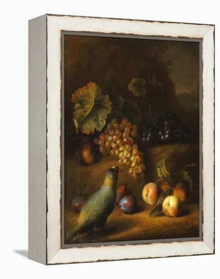 A Parrot with Grapes, Peaches and Plums in a Landscape-Tobias Stranover-Framed Premier Image Canvas