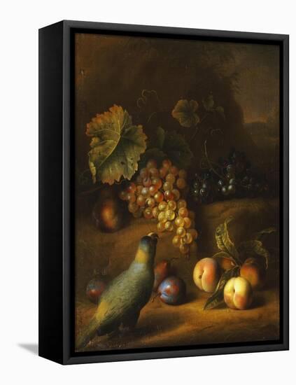 A Parrot with Grapes, Peaches and Plums in a Landscape-Tobias Stranover-Framed Premier Image Canvas