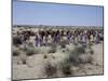 A party of Bedouin leading their camels in the desert-Werner Forman-Mounted Giclee Print