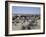 A party of Bedouin leading their camels in the desert-Werner Forman-Framed Giclee Print