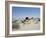 A party of Bedouin leading their camels in the desert-Werner Forman-Framed Giclee Print