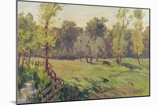 A Pasture with a Stream and an Enclosure, C.1868 (Oil on Canvas)-Alfred Sisley-Mounted Giclee Print