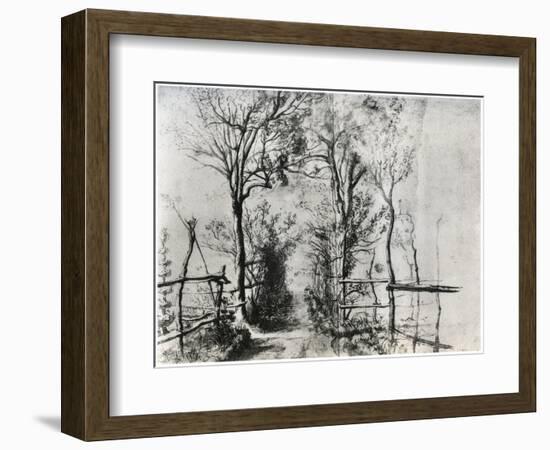 A Path Bordered by Trees, C1620-1625-Peter Paul Rubens-Framed Giclee Print