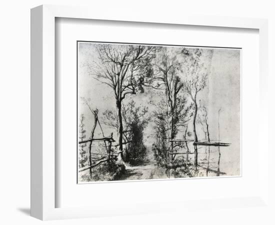 A Path Bordered by Trees, C1620-1625-Peter Paul Rubens-Framed Giclee Print