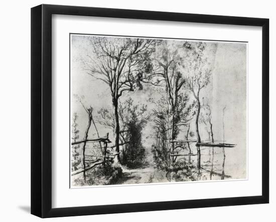 A Path Bordered by Trees, C1620-1625-Peter Paul Rubens-Framed Giclee Print