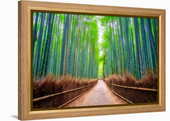 A path winds through an ancient bamboo forest in Kyoto, Japan, Asia-Logan Brown-Framed Premier Image Canvas