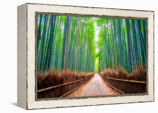 A path winds through an ancient bamboo forest in Kyoto, Japan, Asia-Logan Brown-Framed Premier Image Canvas