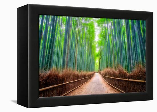 A path winds through an ancient bamboo forest in Kyoto, Japan, Asia-Logan Brown-Framed Premier Image Canvas