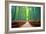 A path winds through an ancient bamboo forest in Kyoto, Japan, Asia-Logan Brown-Framed Photographic Print