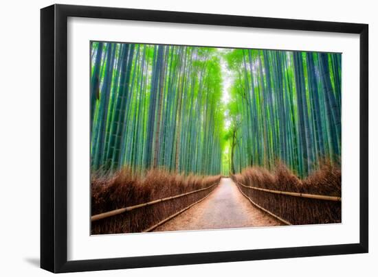 A path winds through an ancient bamboo forest in Kyoto, Japan, Asia-Logan Brown-Framed Photographic Print