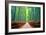 A path winds through an ancient bamboo forest in Kyoto, Japan, Asia-Logan Brown-Framed Photographic Print