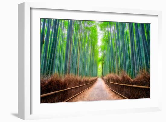 A path winds through an ancient bamboo forest in Kyoto, Japan, Asia-Logan Brown-Framed Photographic Print