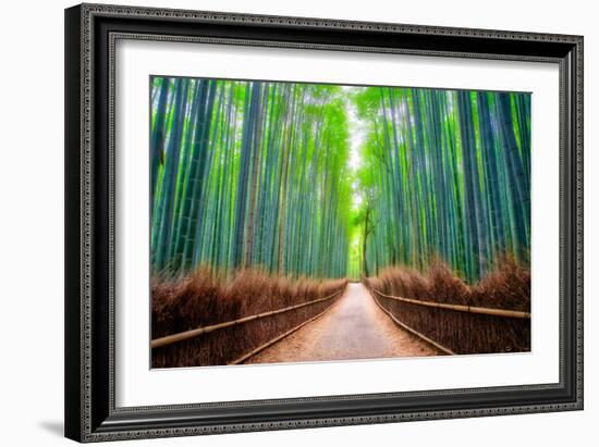 A path winds through an ancient bamboo forest in Kyoto, Japan, Asia-Logan Brown-Framed Photographic Print