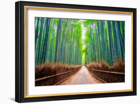 A path winds through an ancient bamboo forest in Kyoto, Japan, Asia-Logan Brown-Framed Photographic Print