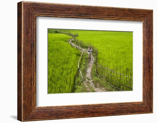 A Pathway Through the Rice Paddies in the Chittangong Hill Tracts, Bangladesh, Asia-Alex Treadway-Framed Photographic Print