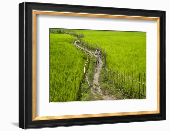 A Pathway Through the Rice Paddies in the Chittangong Hill Tracts, Bangladesh, Asia-Alex Treadway-Framed Photographic Print