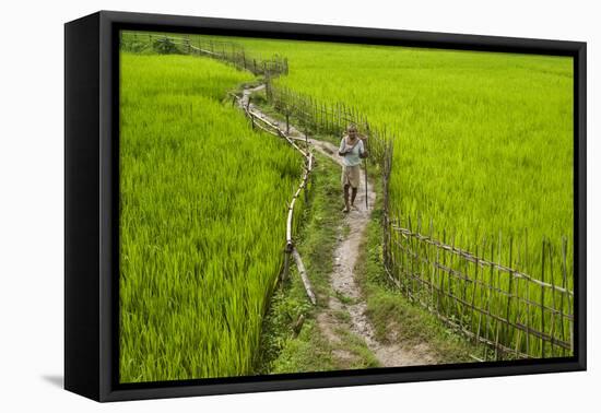 A Pathway Through the Rice Paddies in the Chittangong Hill Tracts, Bangladesh, Asia-Alex Treadway-Framed Premier Image Canvas