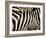 A Pattern of Stripes on a Burchell's Zebra.  Kenya.-Karine Aigner-Framed Photographic Print