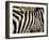 A Pattern of Stripes on a Burchell's Zebra.  Kenya.-Karine Aigner-Framed Photographic Print