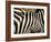 A Pattern of Stripes on a Burchell's Zebra.  Kenya.-Karine Aigner-Framed Photographic Print