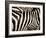 A Pattern of Stripes on a Burchell's Zebra.  Kenya.-Karine Aigner-Framed Photographic Print