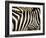 A Pattern of Stripes on a Burchell's Zebra.  Kenya.-Karine Aigner-Framed Photographic Print