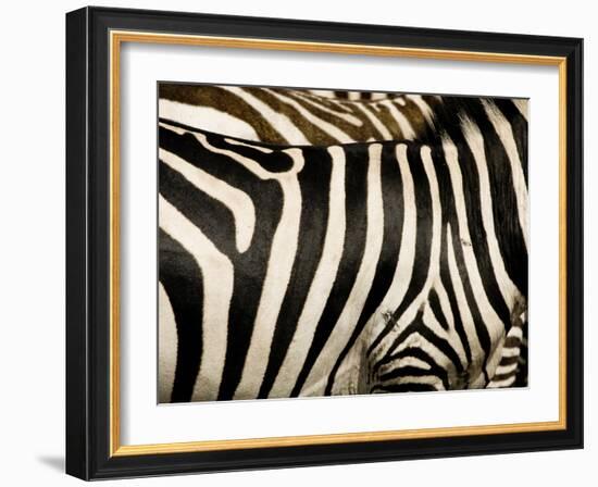 A Pattern of Stripes on a Burchell's Zebra.  Kenya.-Karine Aigner-Framed Photographic Print