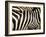 A Pattern of Stripes on a Burchell's Zebra.  Kenya.-Karine Aigner-Framed Photographic Print