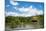 A peaceful lake in front of the golden pavilion of Kinkaku-ji in Kyoto, Japan, Asia-Logan Brown-Mounted Photographic Print