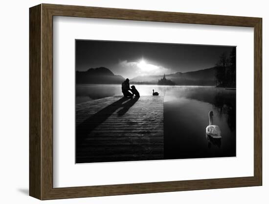 A peaceful morning at the lake-Sandi Bertoncelj-Framed Photographic Print