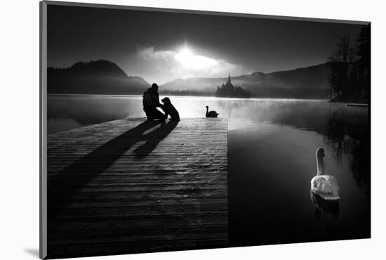 A peaceful morning at the lake-Sandi Bertoncelj-Mounted Photographic Print