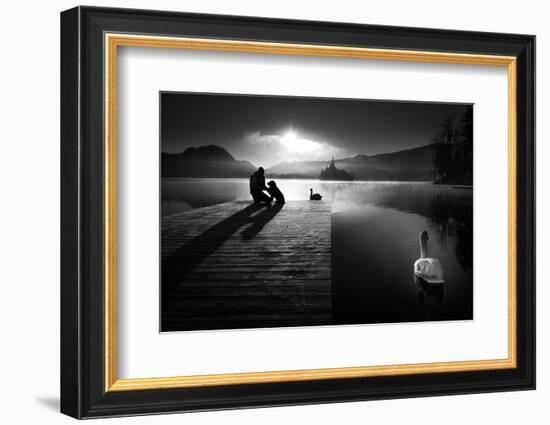 A peaceful morning at the lake-Sandi Bertoncelj-Framed Photographic Print